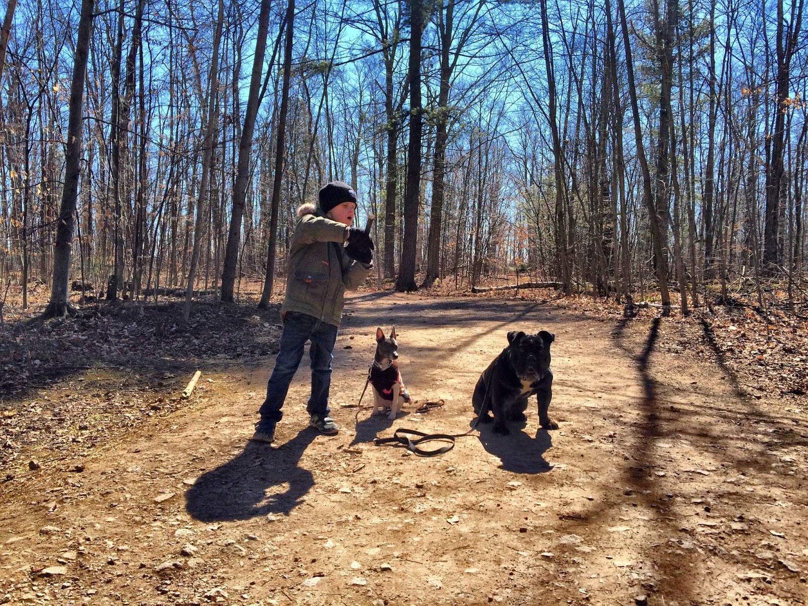 Common Sense Dog Training in Milton Ontario