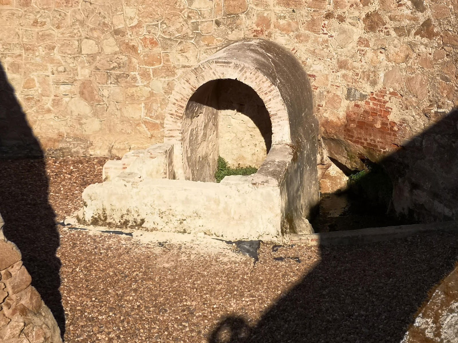 Fuente De La Rana Sabías Que