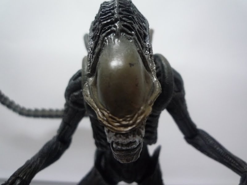 http://4.bp.blogspot.com/-Cmr1YFsT4BE/TfpKn4KrOOI/AAAAAAAAB24/V5ExCxlGjlM/s1600/Aliens+vs+Predator+Requiem+serie+1+Warrior+Alien.JPG