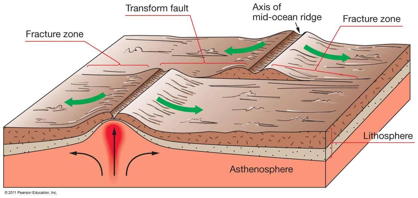 Maximum observed earthquake magnitudes along continental transform faults
