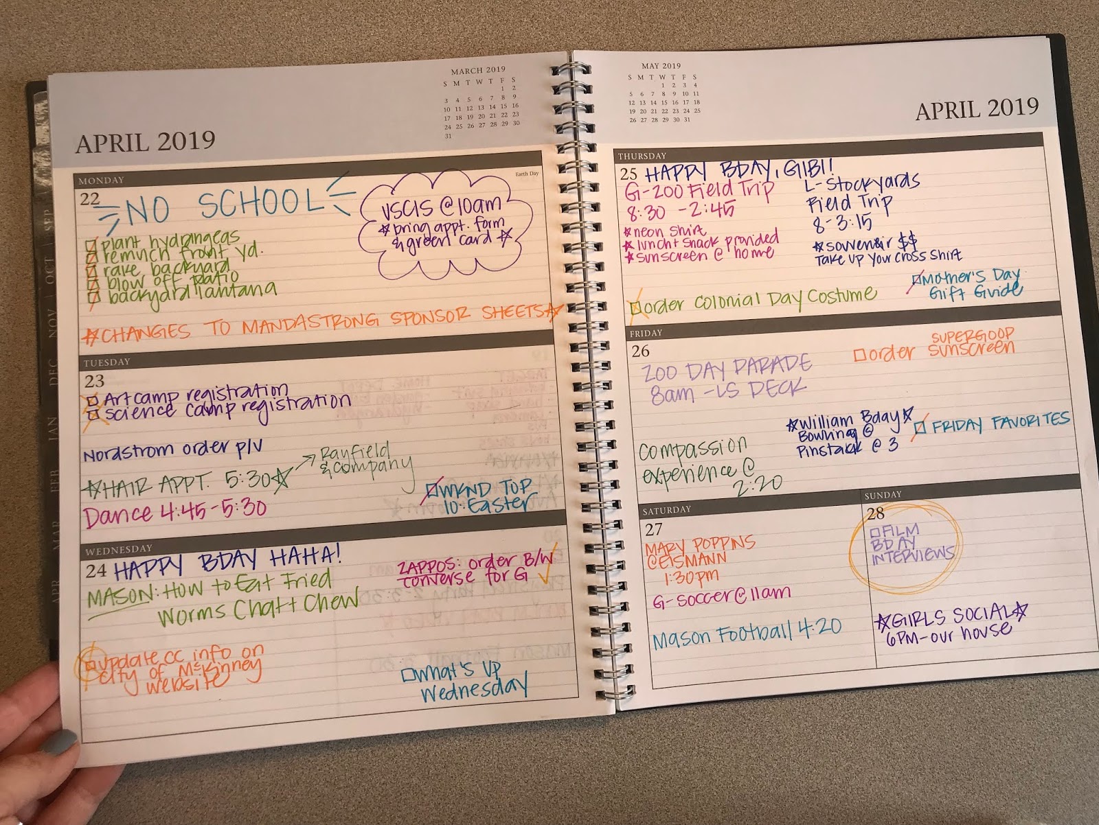 Growing Polymathic Bullet Journal Weekly Spreads Evolution