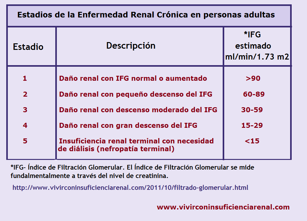 Valores normales de tasa de filtracion glomerular