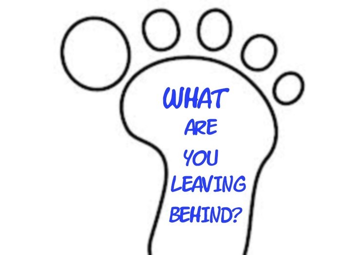 digc5110w assignment 1 q 2 2 digital footprints can be construed as