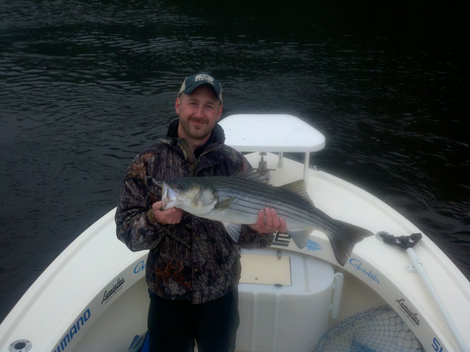 Maine Striper Fishing Charters & Reports Hotline 2076910745 Maine