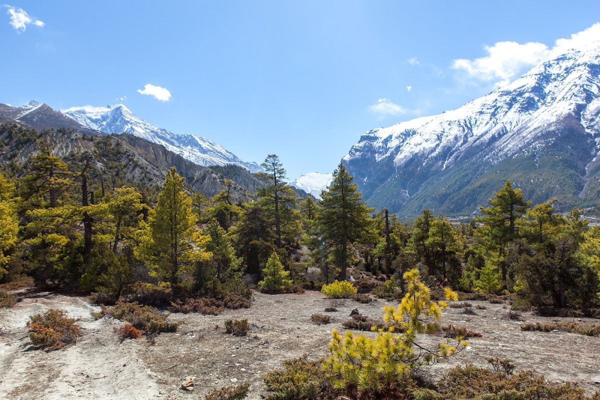 200км по красно-белым черточкам.. Around Annapurna. март-апрель 2017