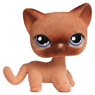 Littlest Pet Shop Pet Pairs Cat Shorthair (#318) Pet