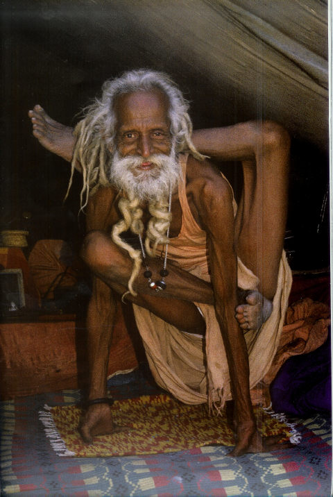 yogi.jpg yogi.jpg