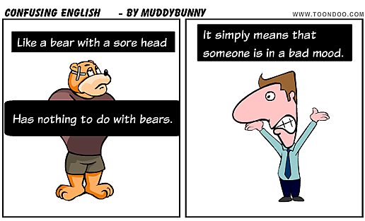 животные австралии на английском языке. Bears like honey. презентация на английском про животных. Where is a bear. I like my bunny.