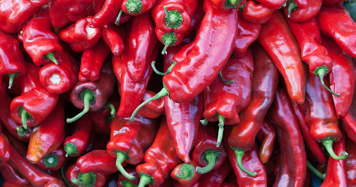 Hot Pepper Nasal Spray Treatment for Migraines and Sinus Headaches