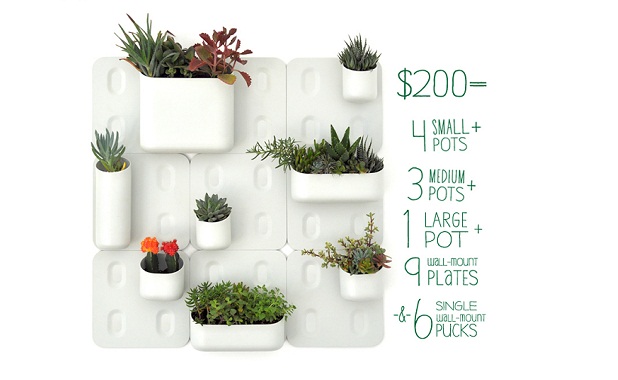 Marzua: Urbio, un jardín vertical en casa