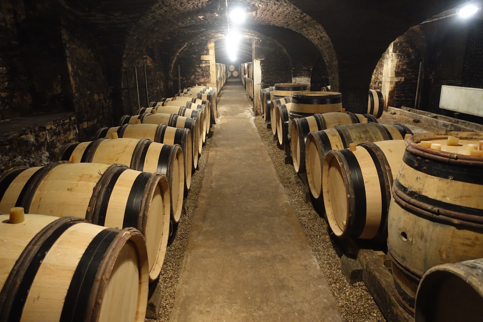 schillerwine Cellar Tour and Tasting at Cave Ropiteau Frères in