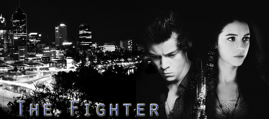 The Fighter (Harry Styles fanfiction HU)