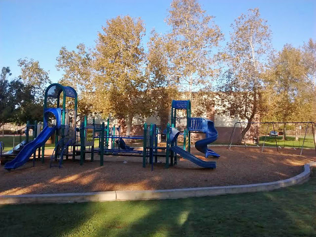 Playground with sycamore trees Playground with sycamore trees