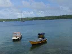 local boats for fishing