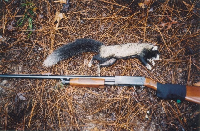 North Carolina River Fishing and Canoeing with Mack: Fox Squirrels in
