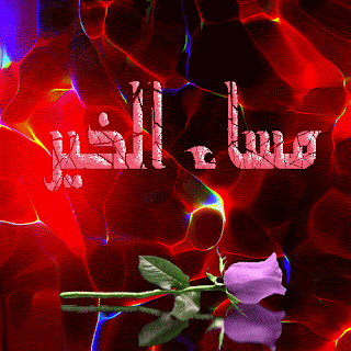 اجمل الصور في العالم 