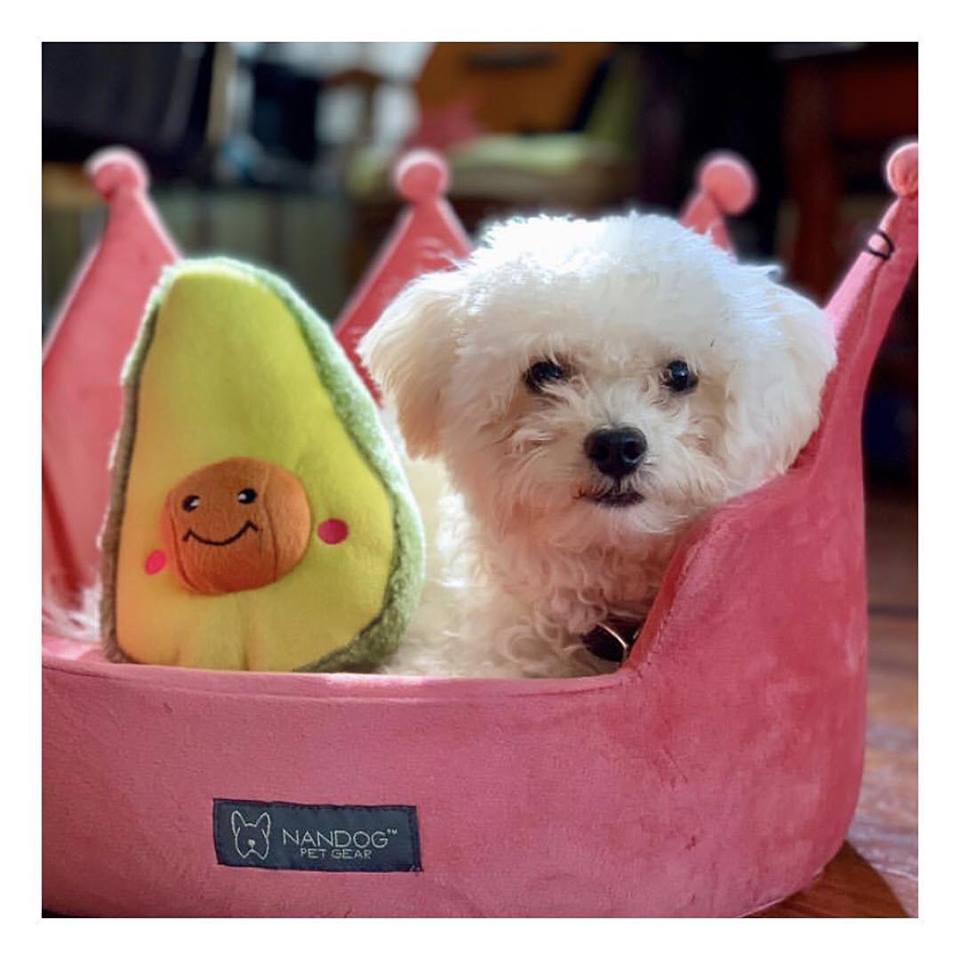 How Do I Choose The Right Bed For My Dog