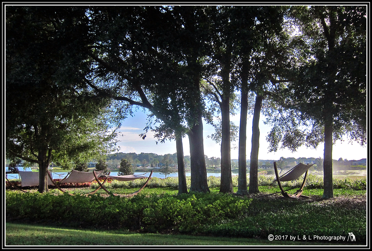 Ocala, Central Florida & Beyond Hammocks on the Trail