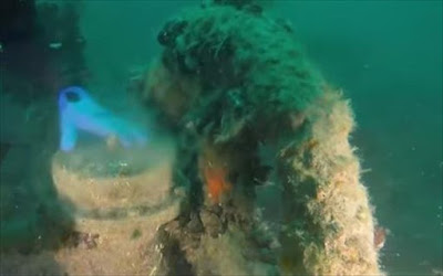 Ναυάγιο του 1895 «έκρυβε» πίνακες αξίας εκατομμυρίων δολαρίων