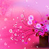 Roze achtergrond met bloemen