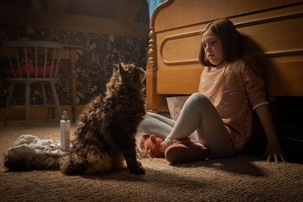 Pet Sematary, Stephen King, Horror, Thriller, Mystery, Movie Review by Rawlins, Pet Sematary, Stephen King, Horror, Thriller, Mystery, Movie Review by Rawlins,