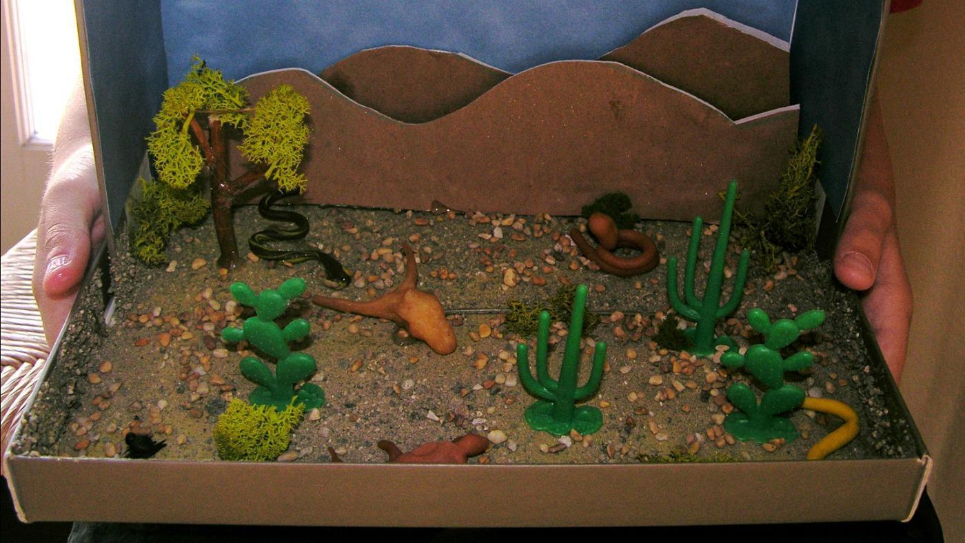 Bird In Everything Birds Habitat For Kids