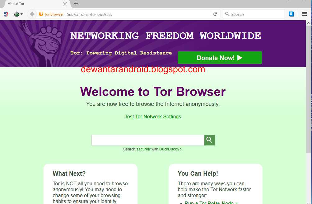 any browser like tor gydra