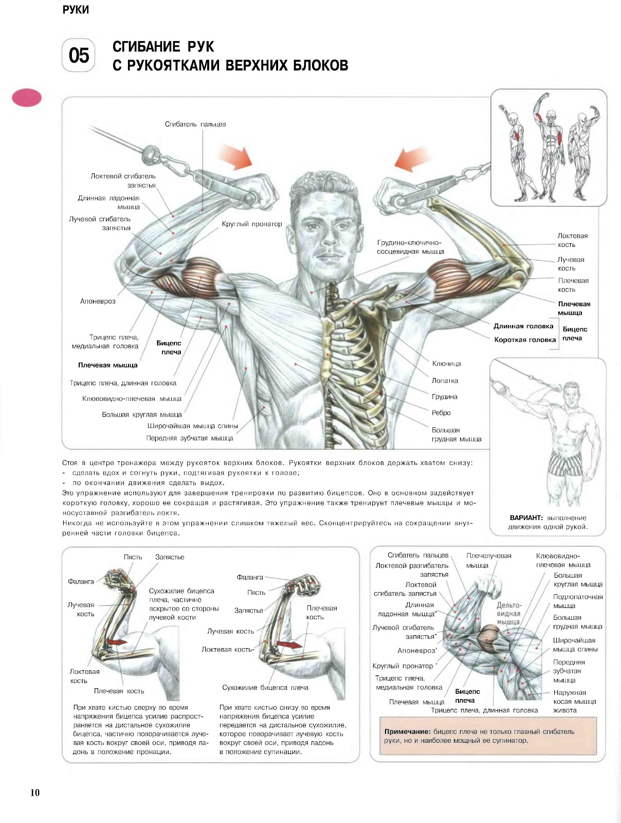   Pharmacom Labs : .
