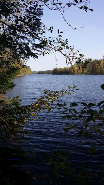 Suojavesi, Finland