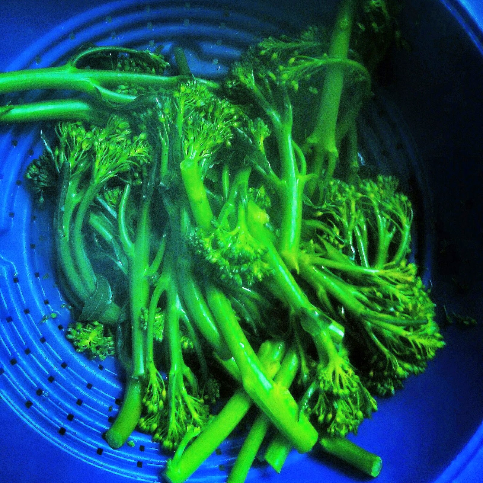 Tenderstem is nice and bright green when steamed!