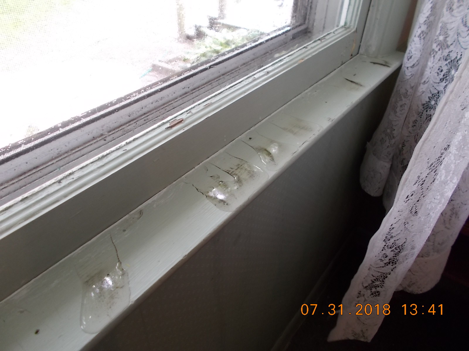 Eaton Rapids Joe The case of the rotted window sills