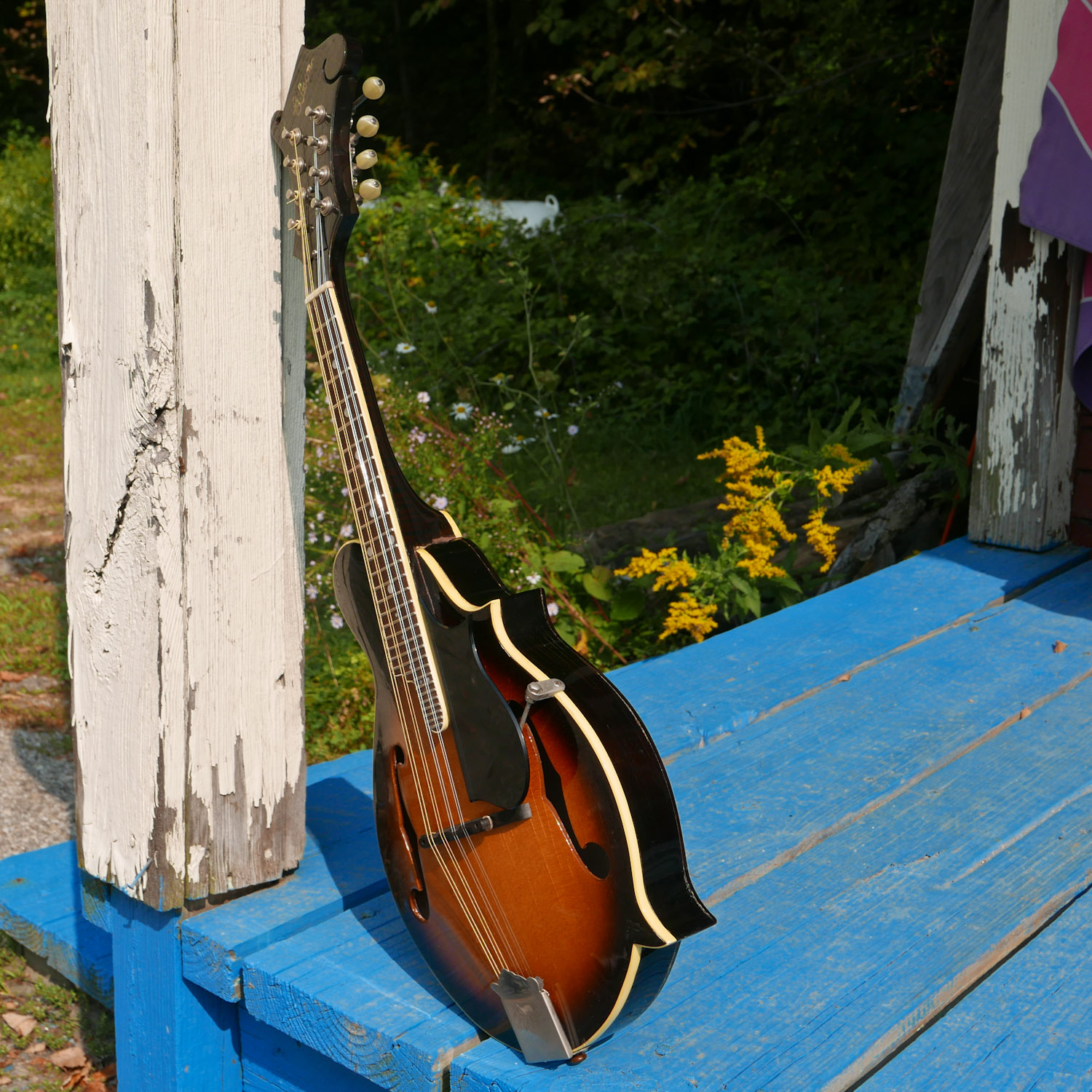 1964 Gibson A12 CarvedTop Mandolin