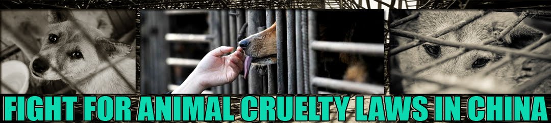 Fight for Animal Cruelty Laws in China (FACLC)