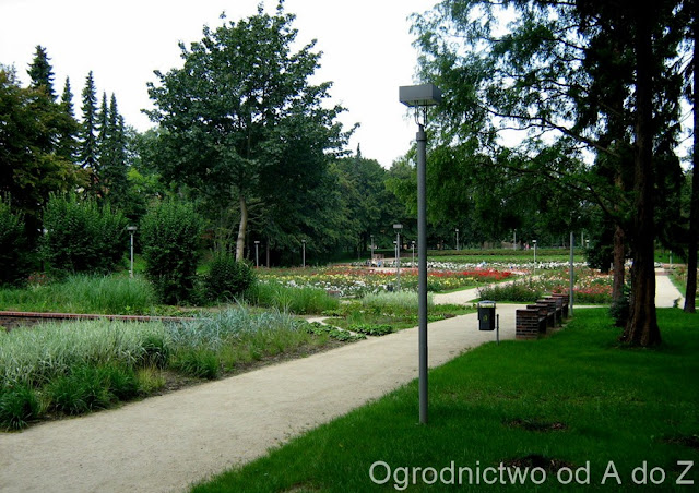 Szczecin "Różanka"
