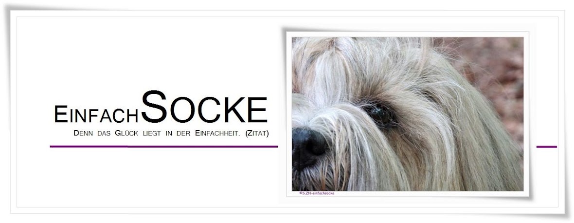 [Hundeblog] Einfach Socke