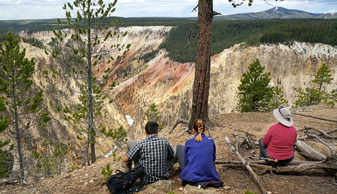 Amazingexplore Capture Overlook of the Grand Canyon of Yellowstone