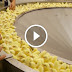 Leaked Video: The Horrible Things Being Done in The Meat Industry!