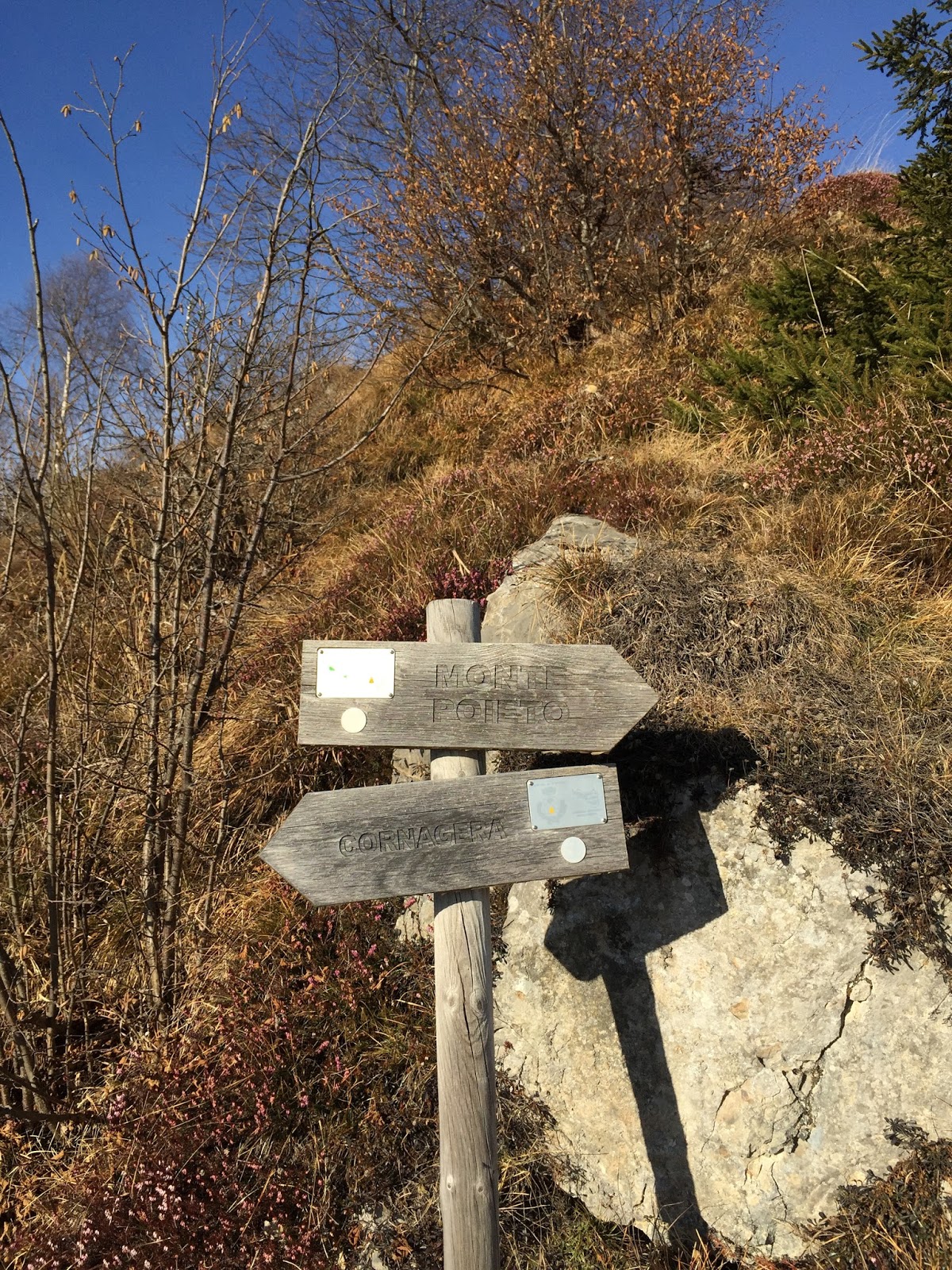 Sign on trail 537
