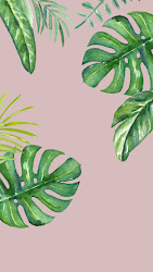 iphone jungle leaves wallpapers 5s plants backgrounds watercolor background tropical desktop dlolleys help dlolleyshelp pattern plant drawing palm monstera watercolour