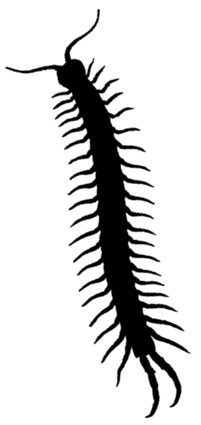 Image Result For Are There Image Result For Are There