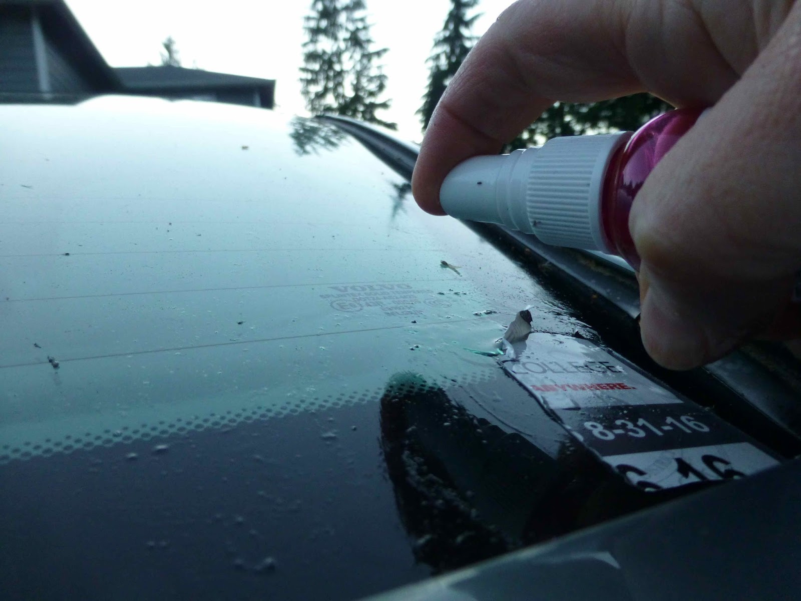 ScraPerfect Removing Car Window Sticker Decal Sticky situation SOLVED!