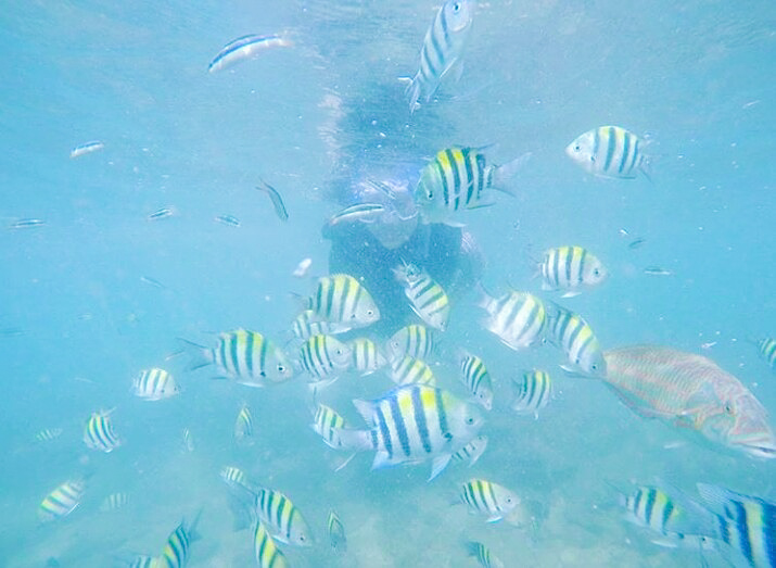 snorkeling-di-pantai skorkeling di pantai