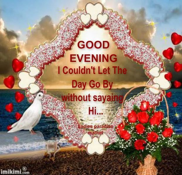 Lovely Images Lovely Good Evening Pic free for commercial use high