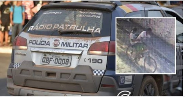 Casal rouba Shih-tzu e troca por drogas em boca de fumo