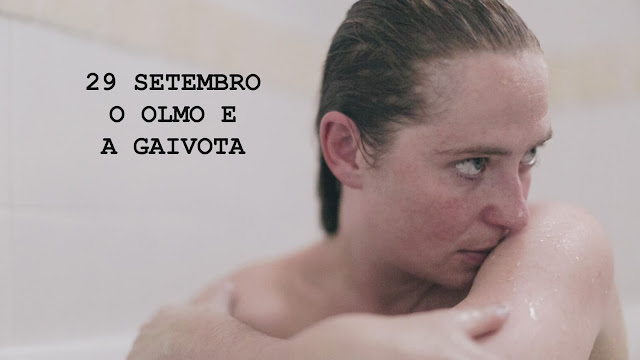 O Olmo e a Gaivota (2015) O Olmo e a Gaivota (2015)