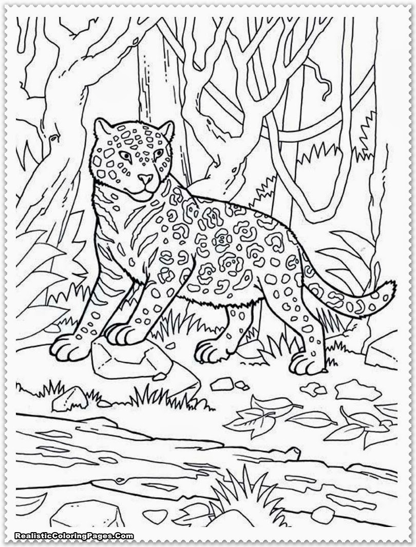 safari scene coloring pages - photo #19