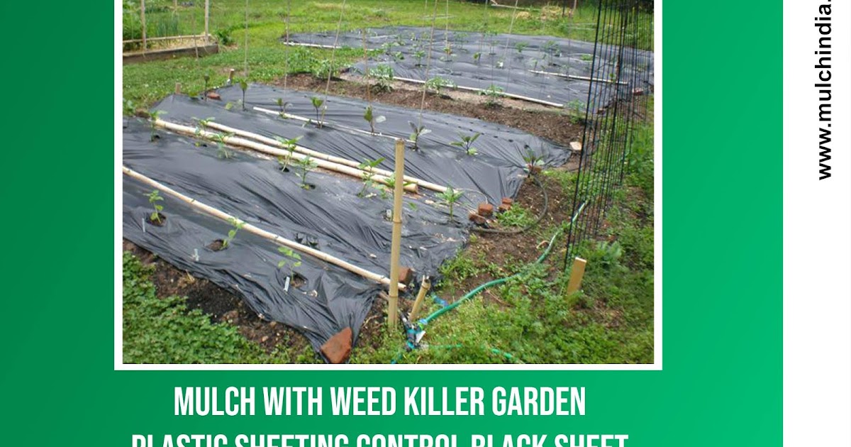 MulchIndia Mulch With Weed Killer Garden Plastic Sheeting Control