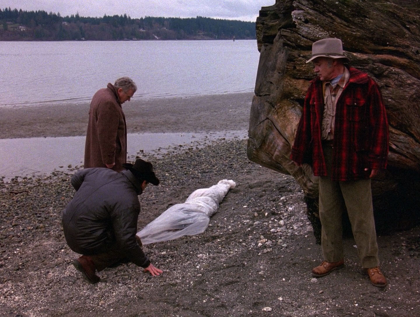 *Note: A previous edition of this review incorrectly stated that Twin