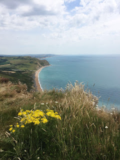 View from Golden Cap, Dorset