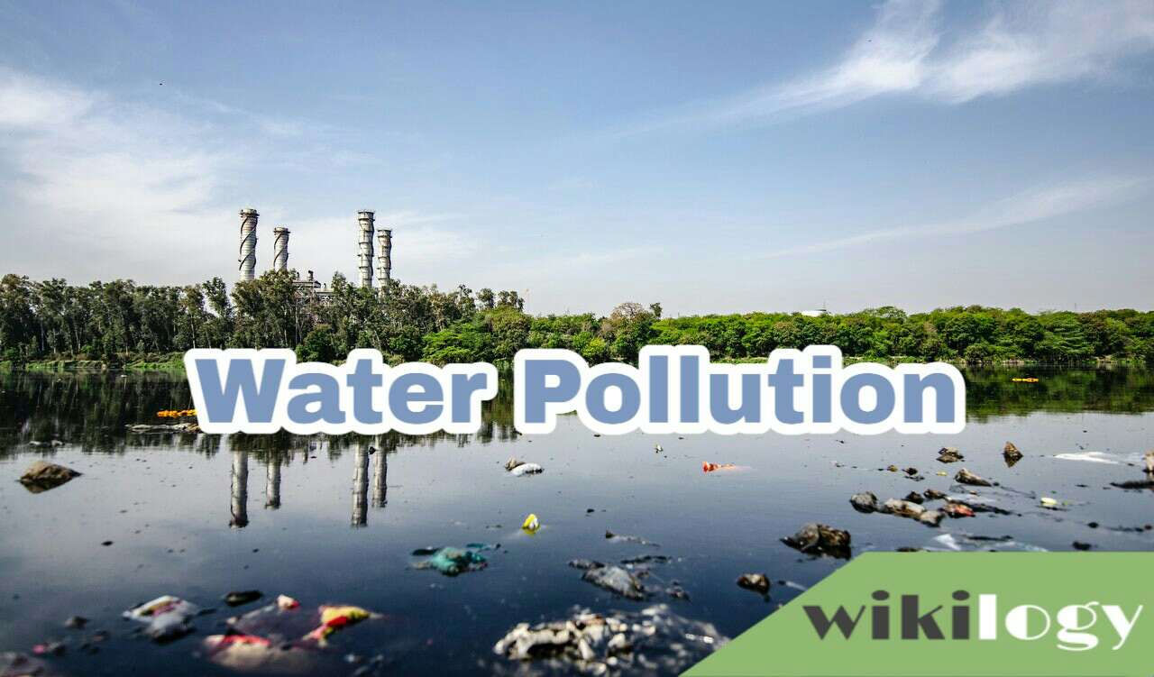 Water Pollution Paragraph for class 4, 5, 6, 7, 8, 9, 10, 11, 12